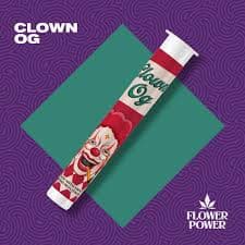 Flower Power