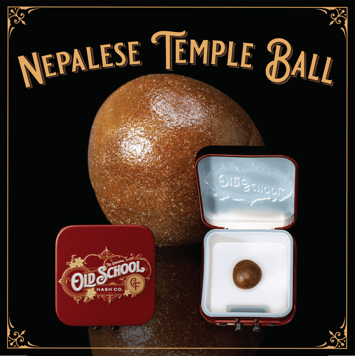 Old School Hash Co. Temple Ball - Headband