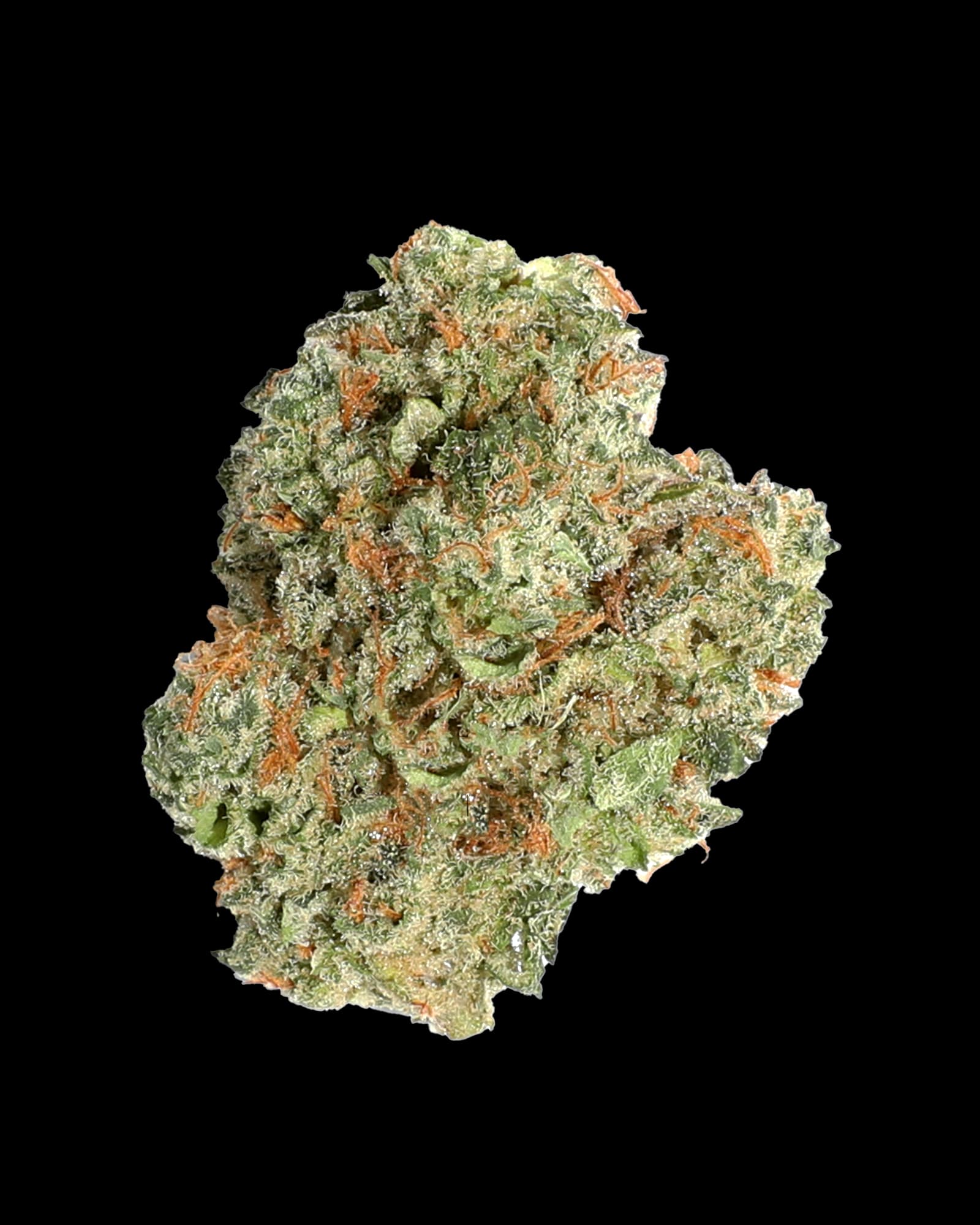 High Life Farms