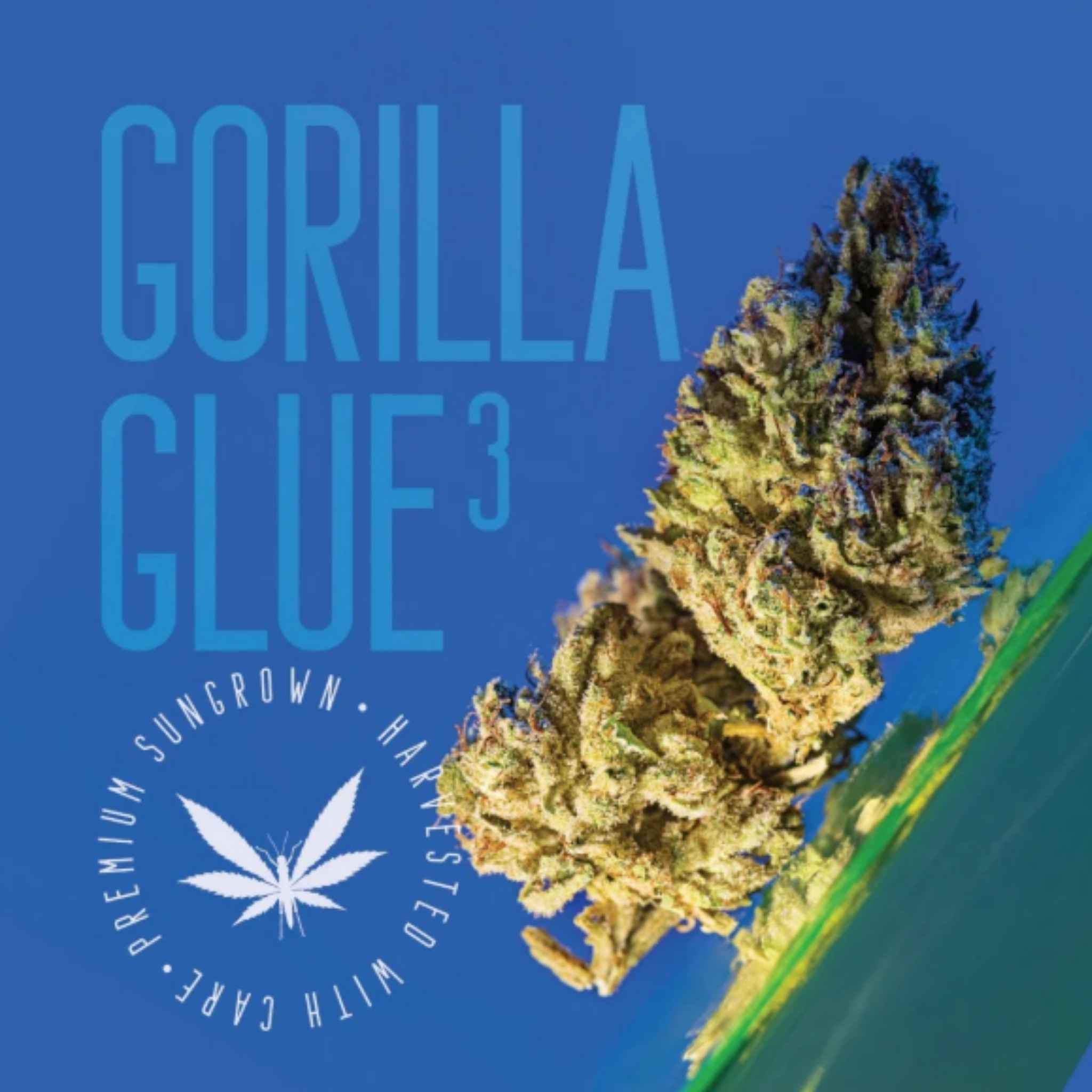 Grasshopper Farms Grasshopper Farms Gorilla Glue 3