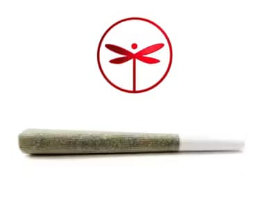 Dragonfly PLEDGE BANANA PREROLL 1G