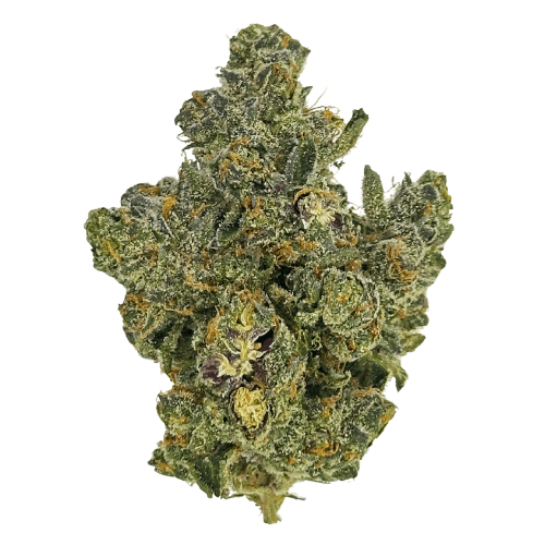 High Life Farms