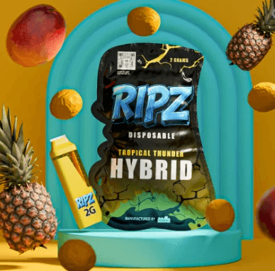 Ripz Ripz 2g Disposable Tropic Thunder