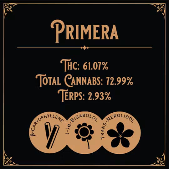 Old School Hash Co. Temple Ball | Primera
