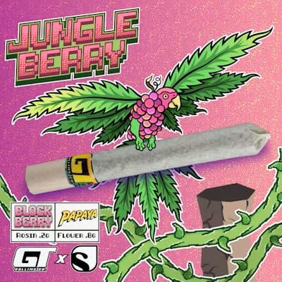 Superb Jungle Berry Donette