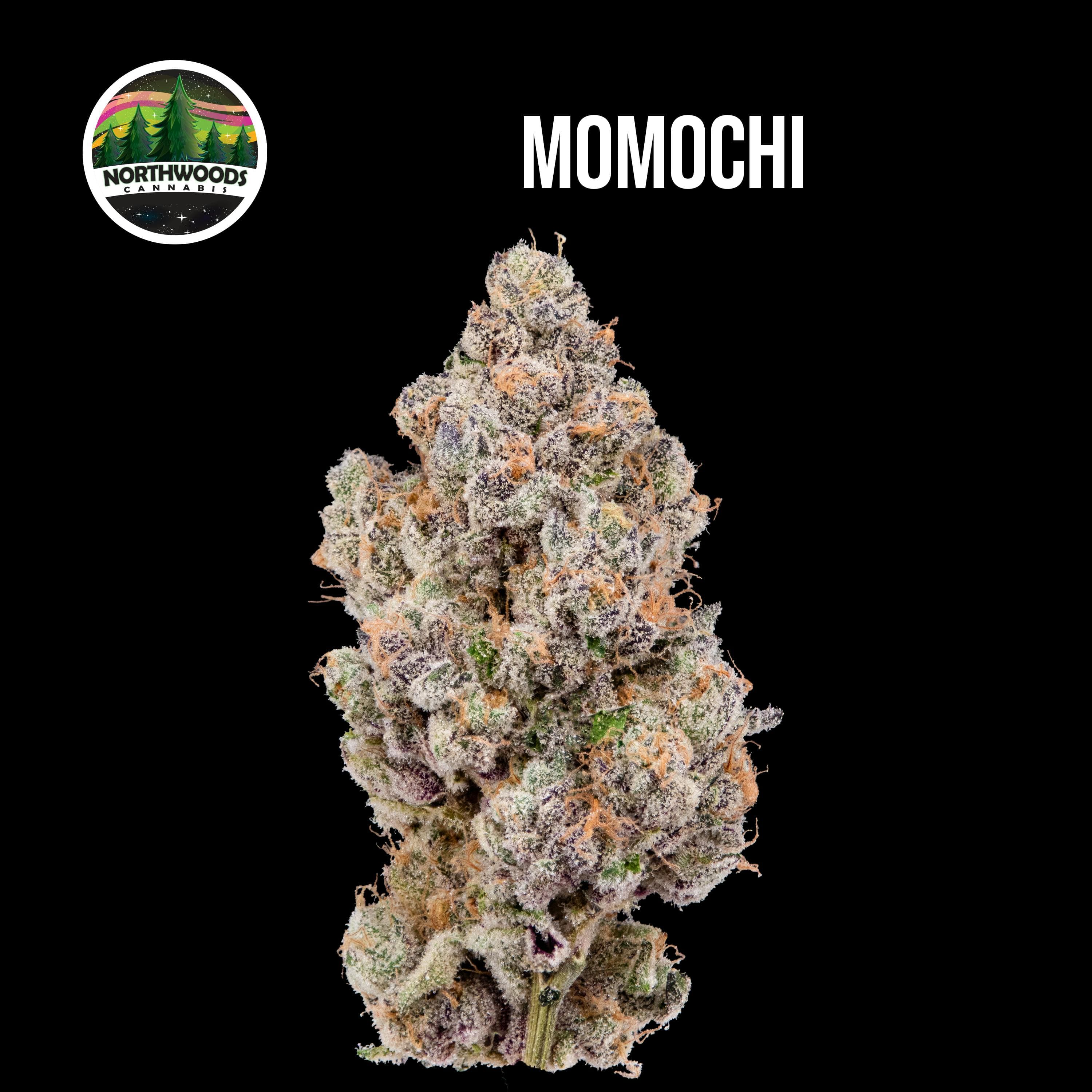 Northwoods DELI - Northwoods - Momochi