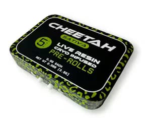 Cheetah