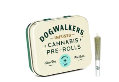 DOGWALKERS Animal Face Big Dogs | Infused Single