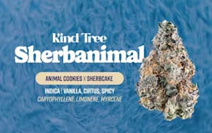 Kind Tree Sherbanimal Pre-rolls