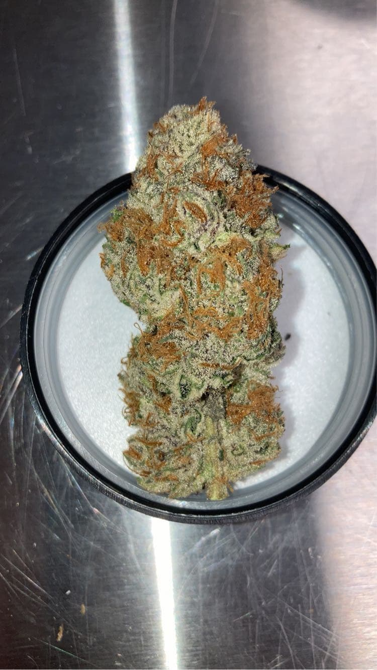 Blue Harvest Candy Bonez #7: Flower - 3.5g