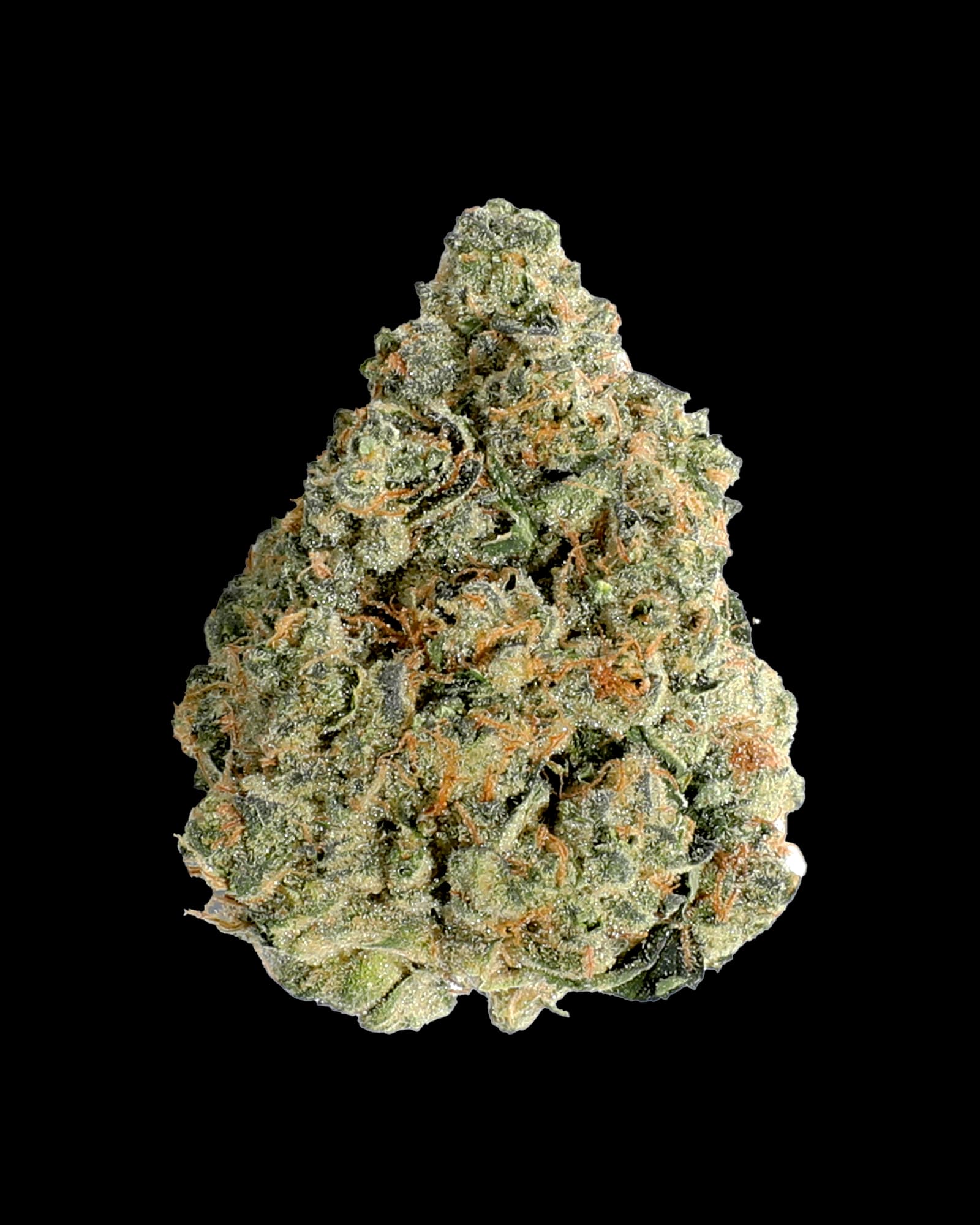 Holistic Industries FROSTED JUNGLE 1OZ