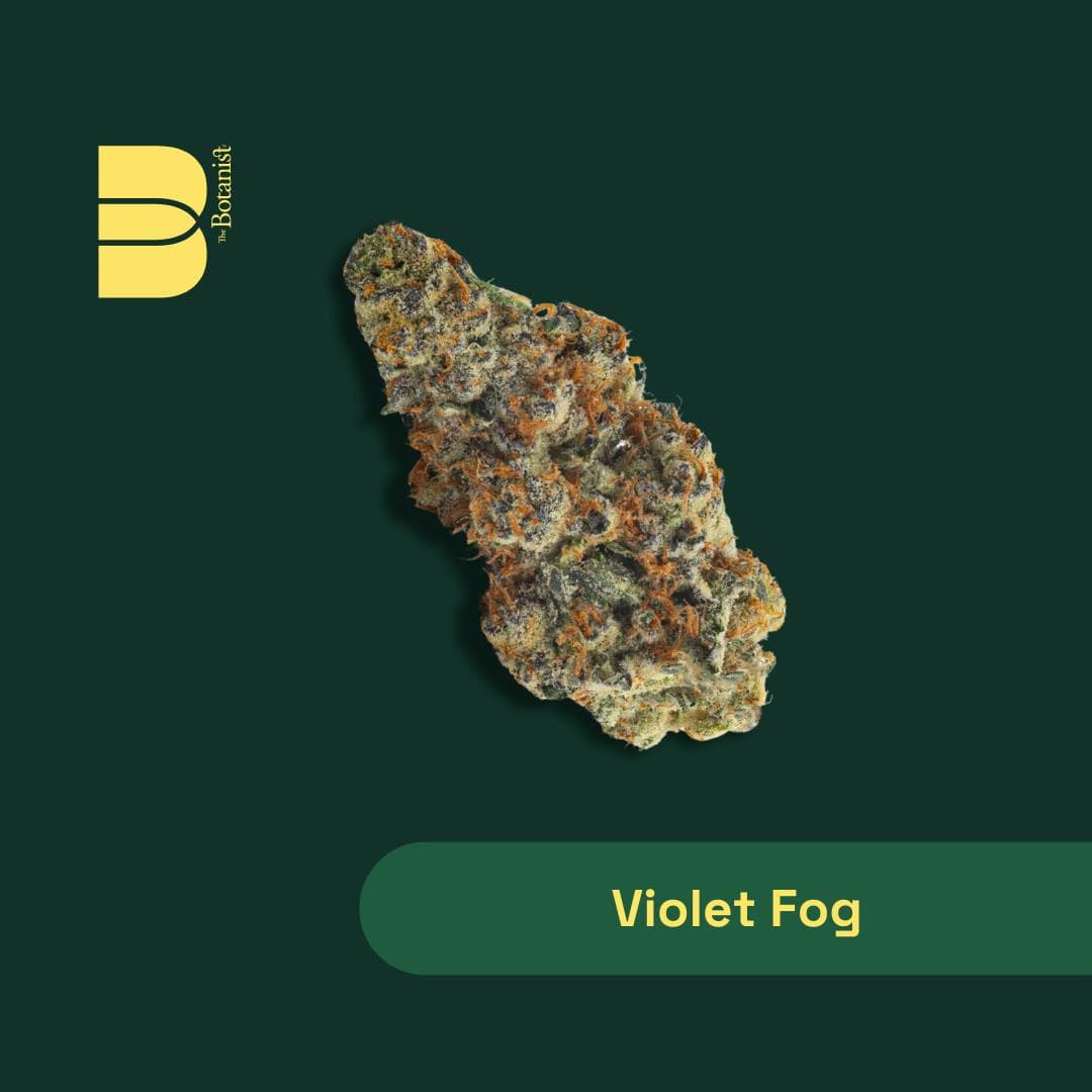 Botanist VIOLET FOG | 14G FLOWER