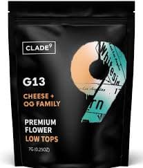 Clade9 G13