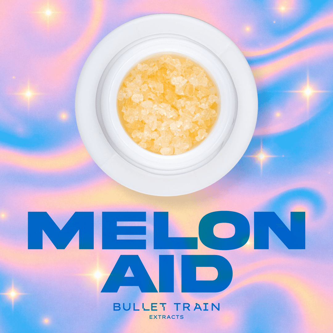 Bullet Train Extracts