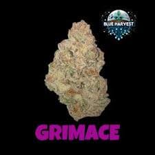 Blue Harvest Grimace 5pk 2.5g Pre Rolls-H