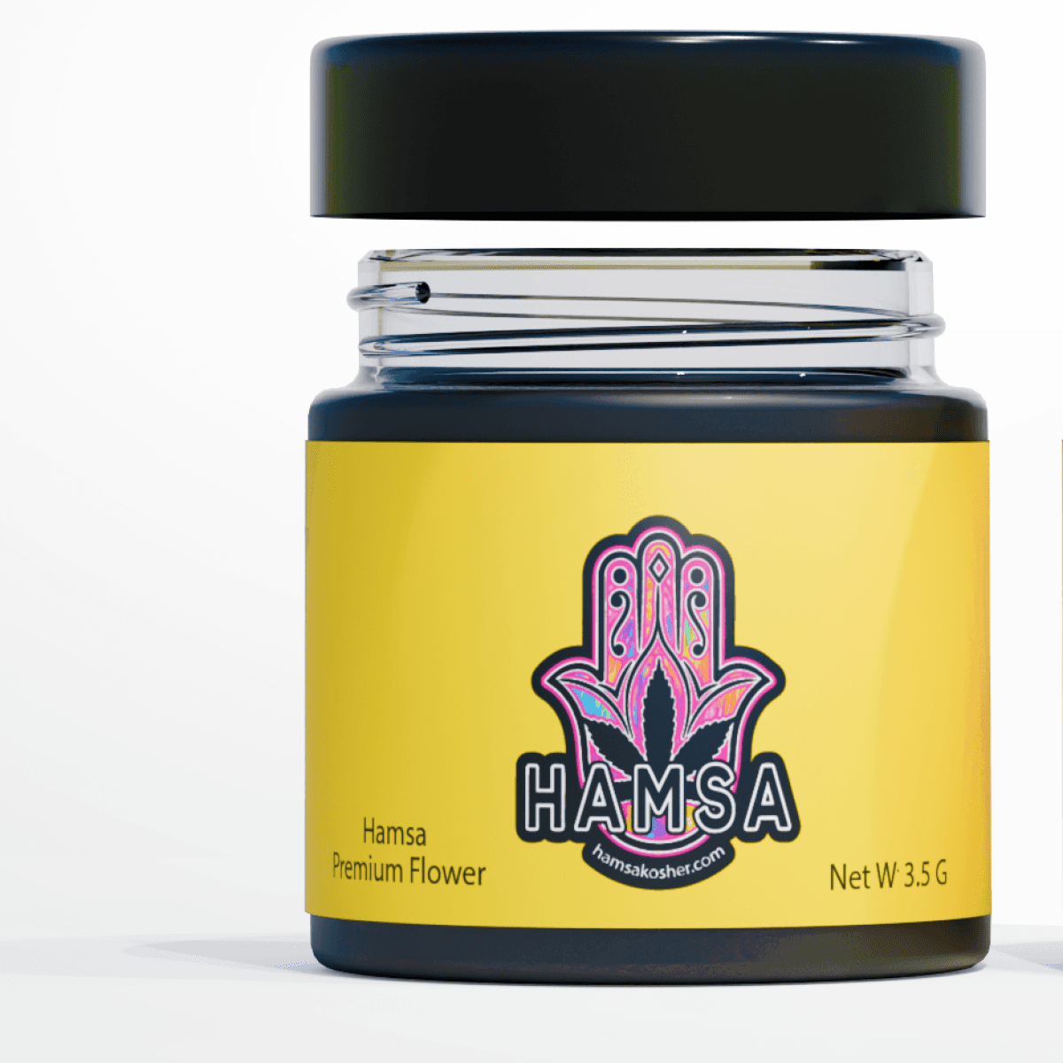 HAMSA