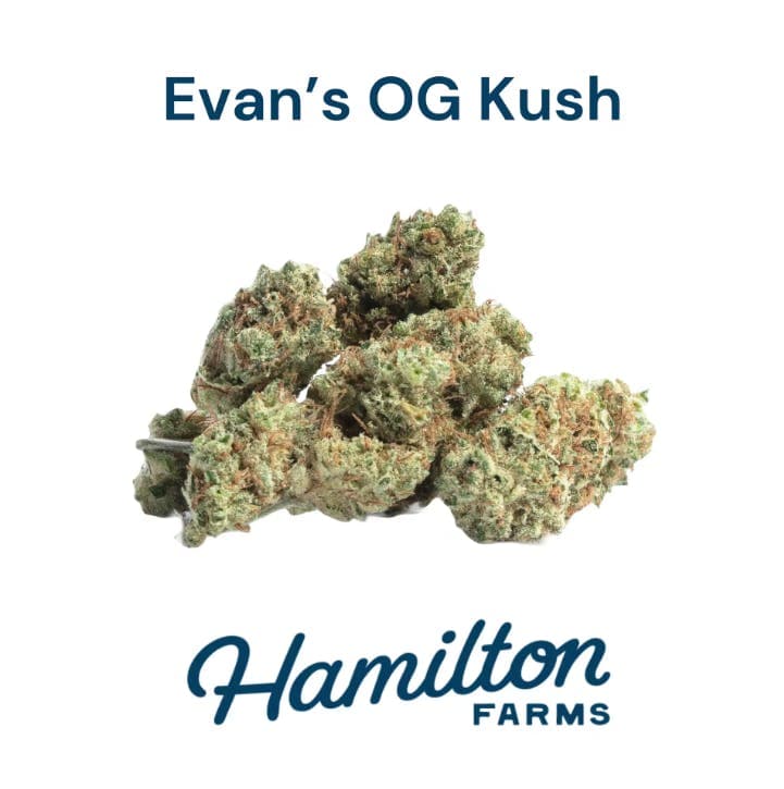 Hamilton Farms Evan's OG Kush