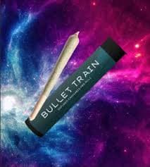 Bullet Train ANIMAL MINT CAKE | INFUSED | 1G | 1PK