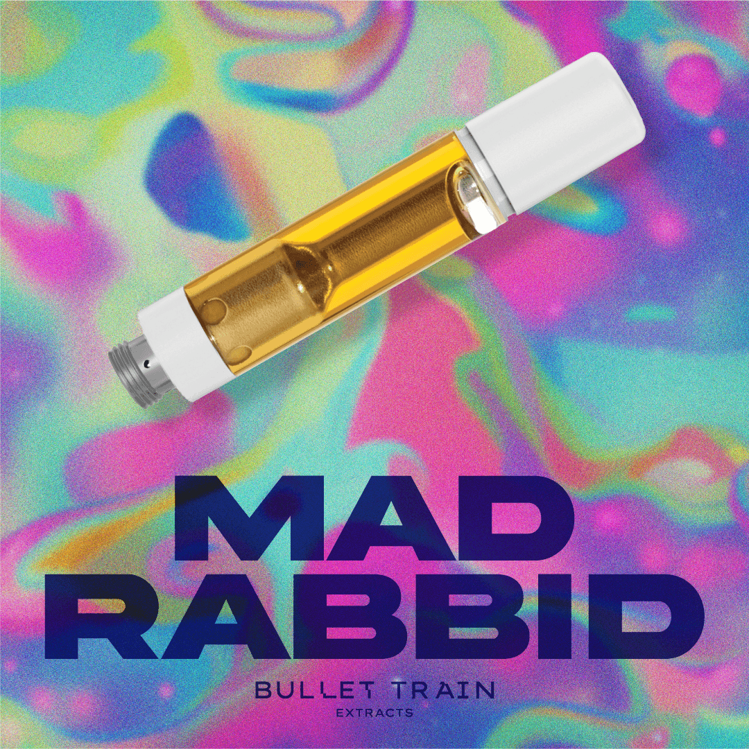Bullet Train Extracts