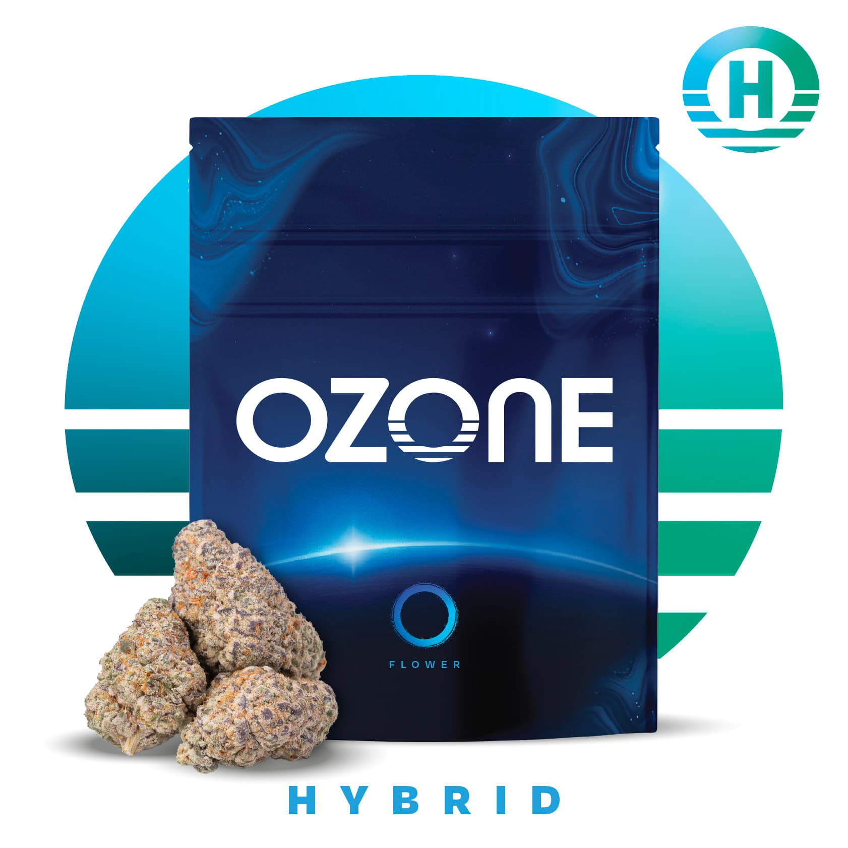 OZONE Modified Bananas