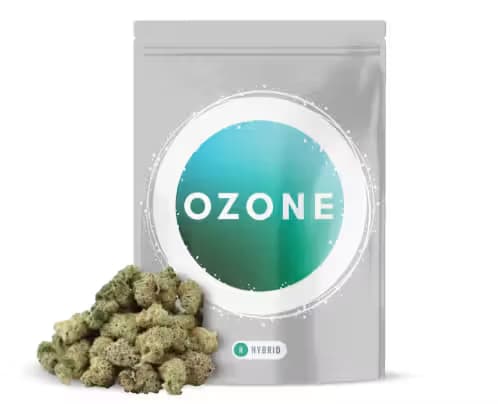OZONE Pave | 5 Pack