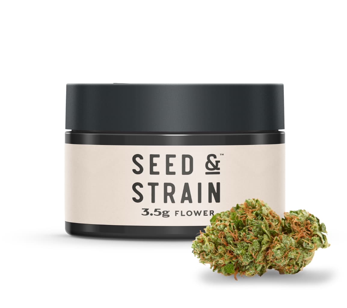 Seed & Strain Sunshine Daydream