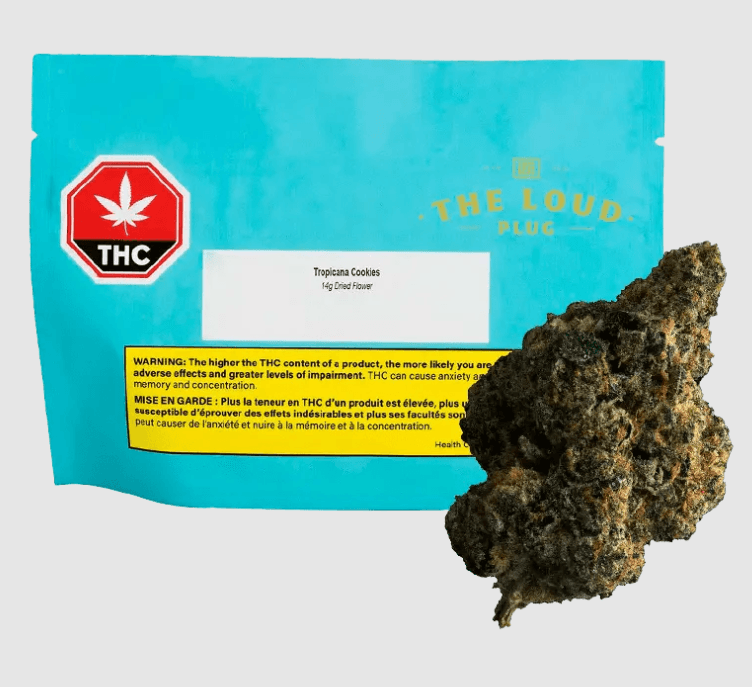 The Loud Plug The Loud Plug Tropicana Cookies