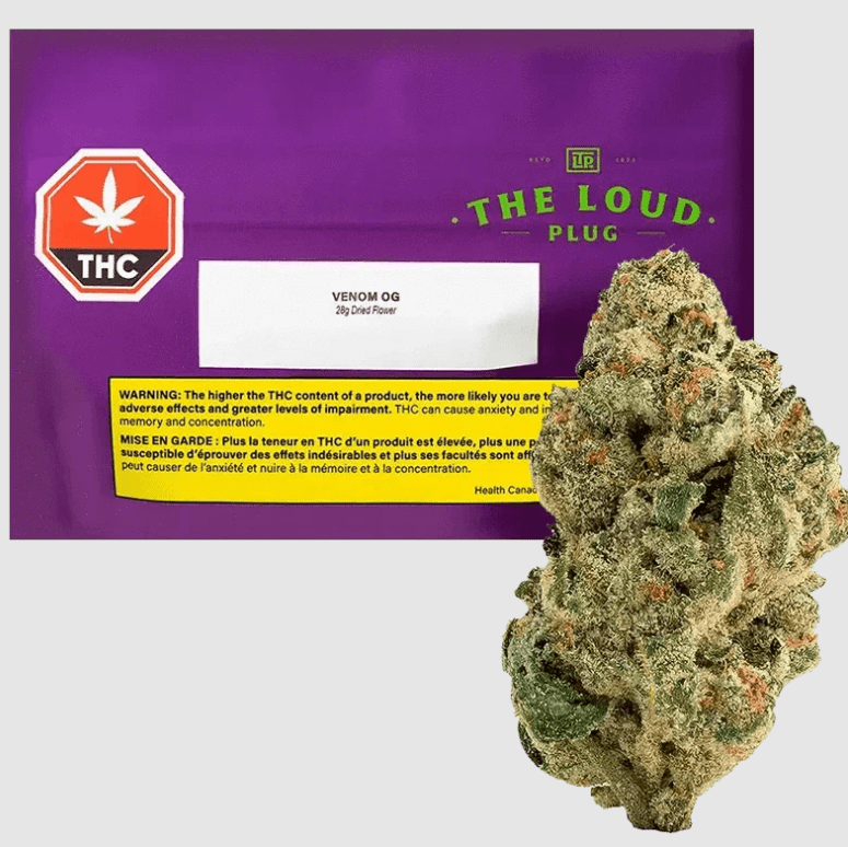 The Loud Plug The Loud Plug Venom OG