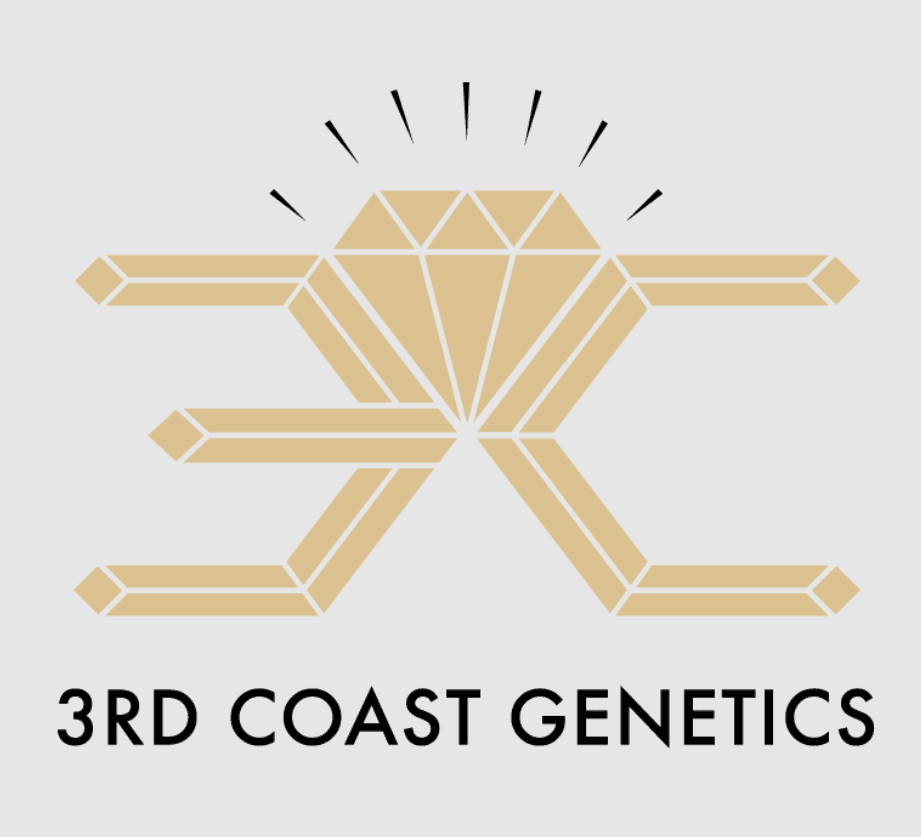 3rd Coast Genetics 3rd Coast Jack Truffle - 14g