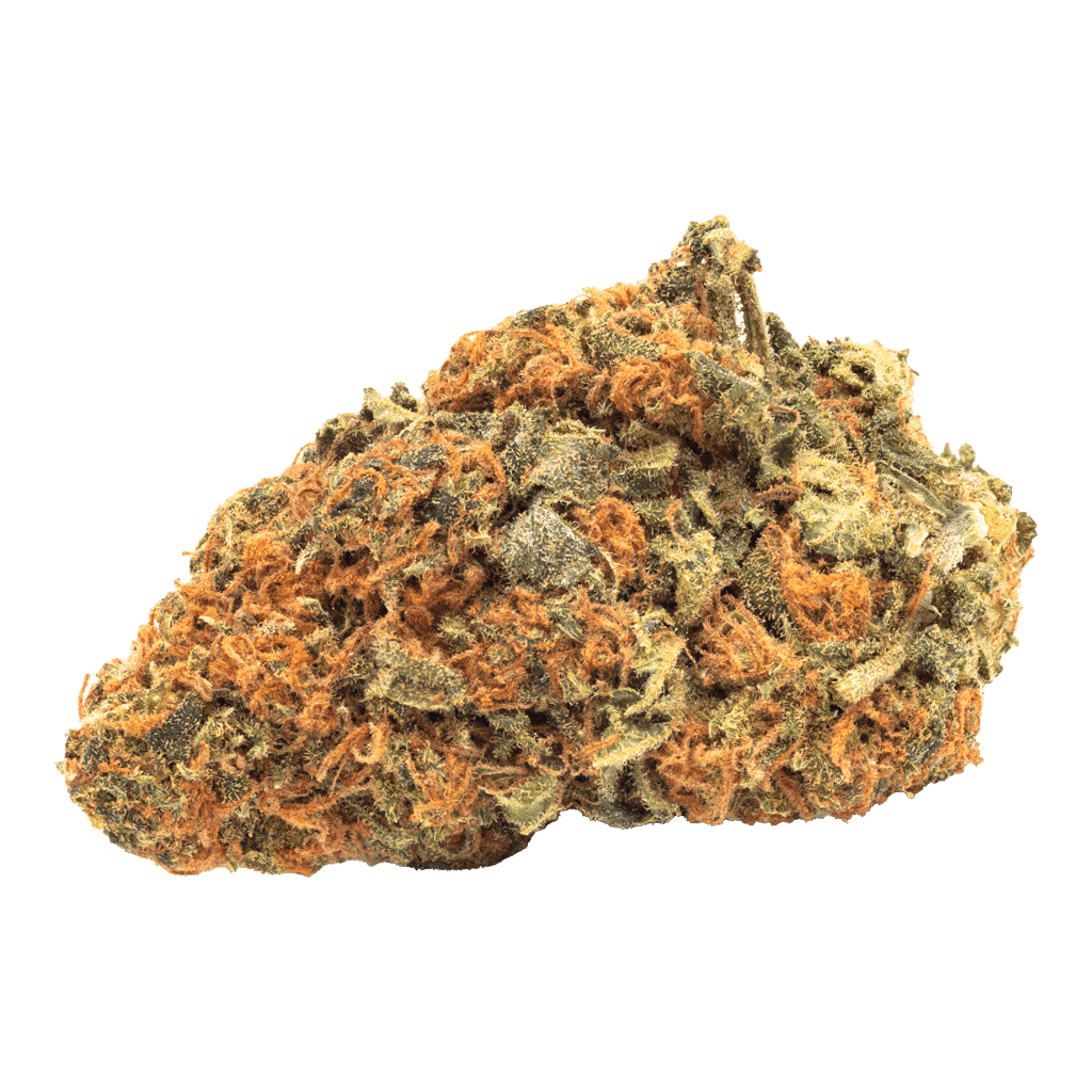 FIGR CBD Shark Flower | 3.5g