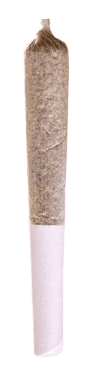 Station House Station House Jack Herer Prerolls 1x0.5g
