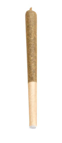 Bud Lafleur