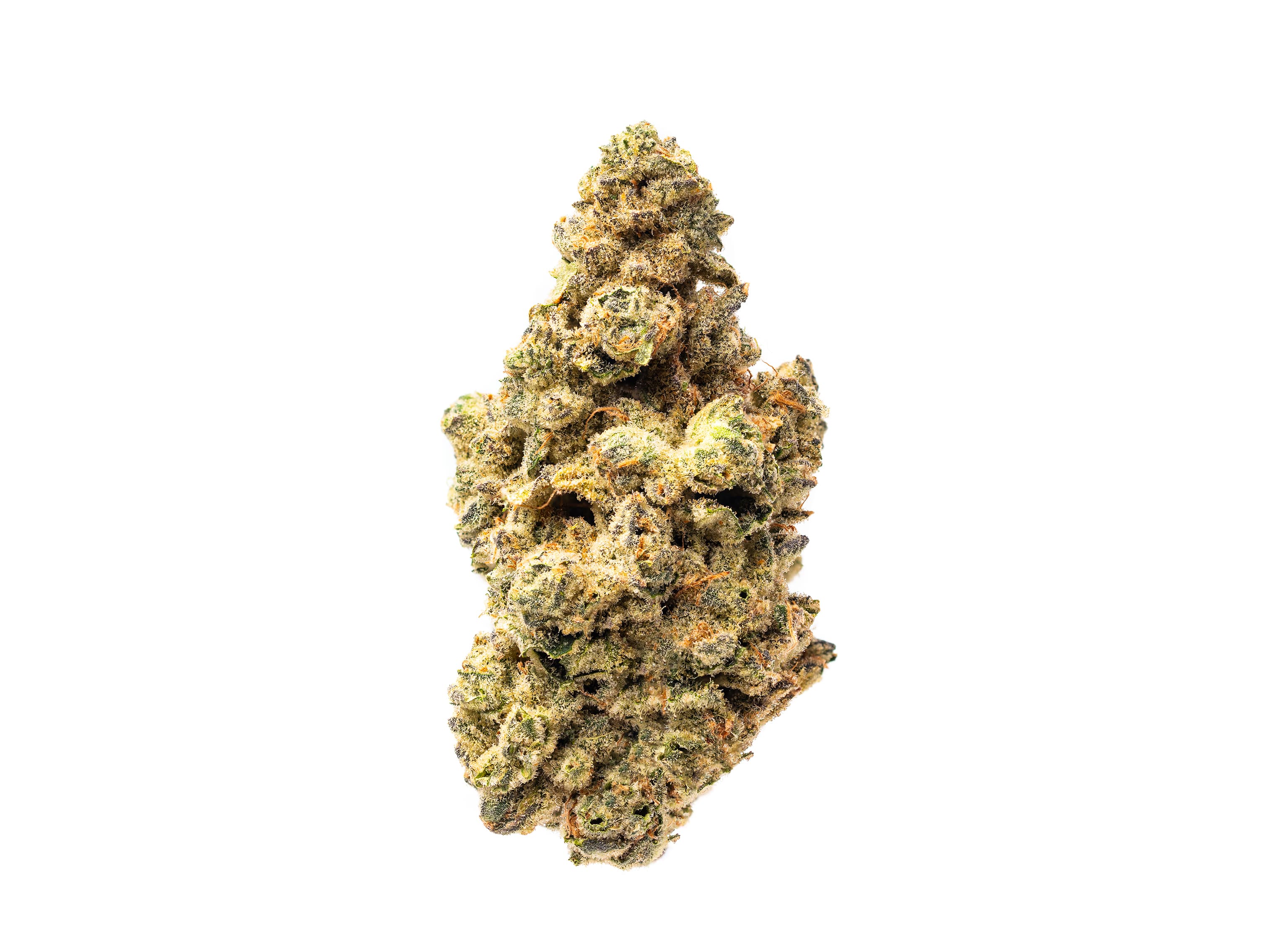 Fresh LA Baker Flower