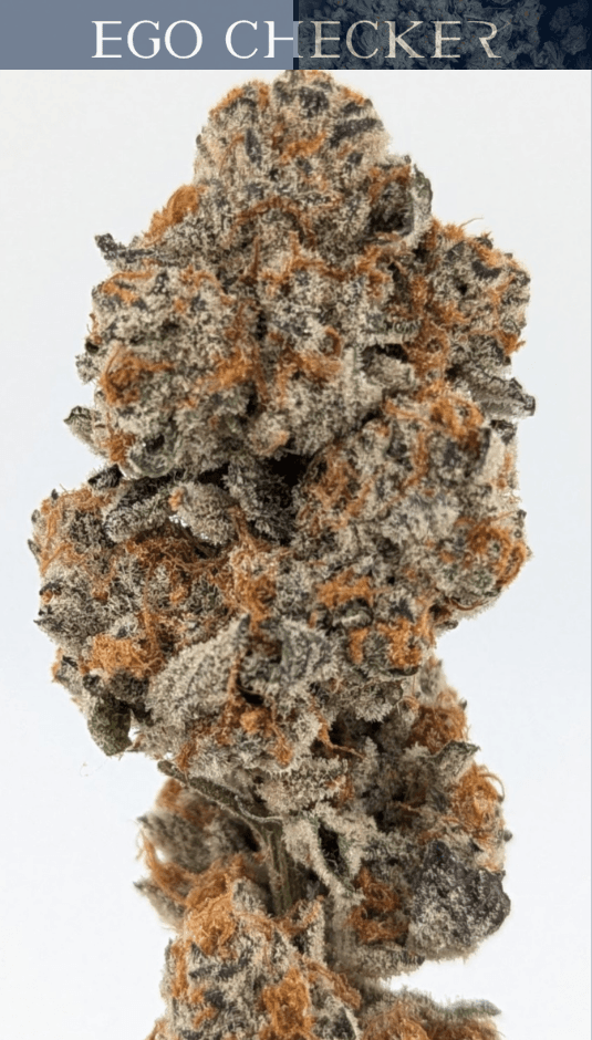 Aeterna Ego Checker (H) | Flower | 3.5g