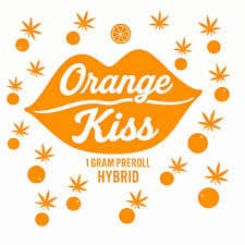 Akron Bloom Orange Kiss | Infused Pre-roll | 1g