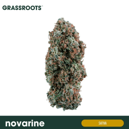 Grassroots Concentrates