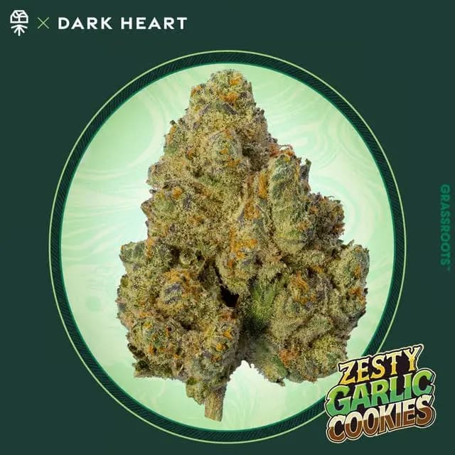 Grassroots Dark Heart Collection Zesty Garlic Cookies Whole Flower 3.5g Flower