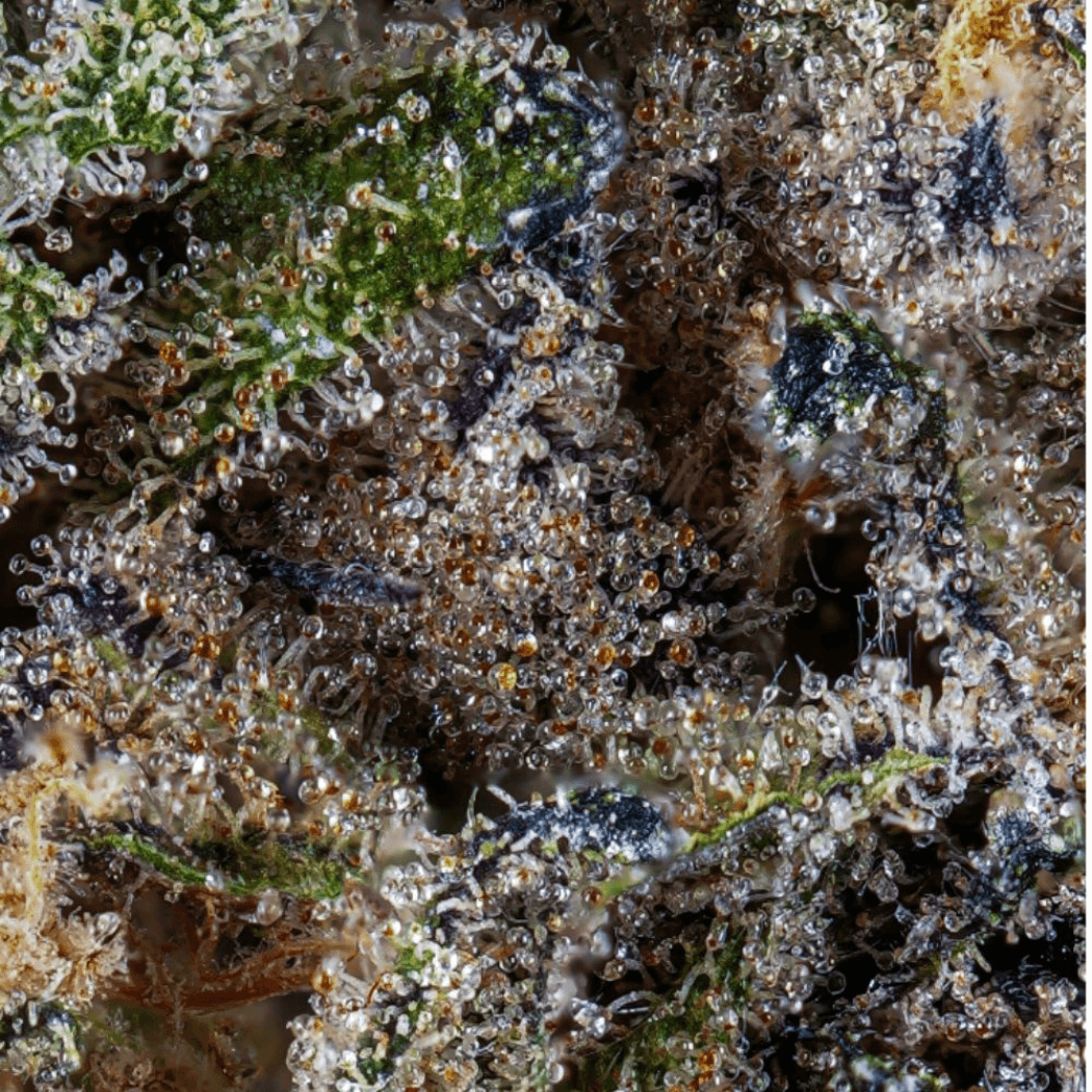 Grassroots Animal Mint Cake Whole Flower 3.5g