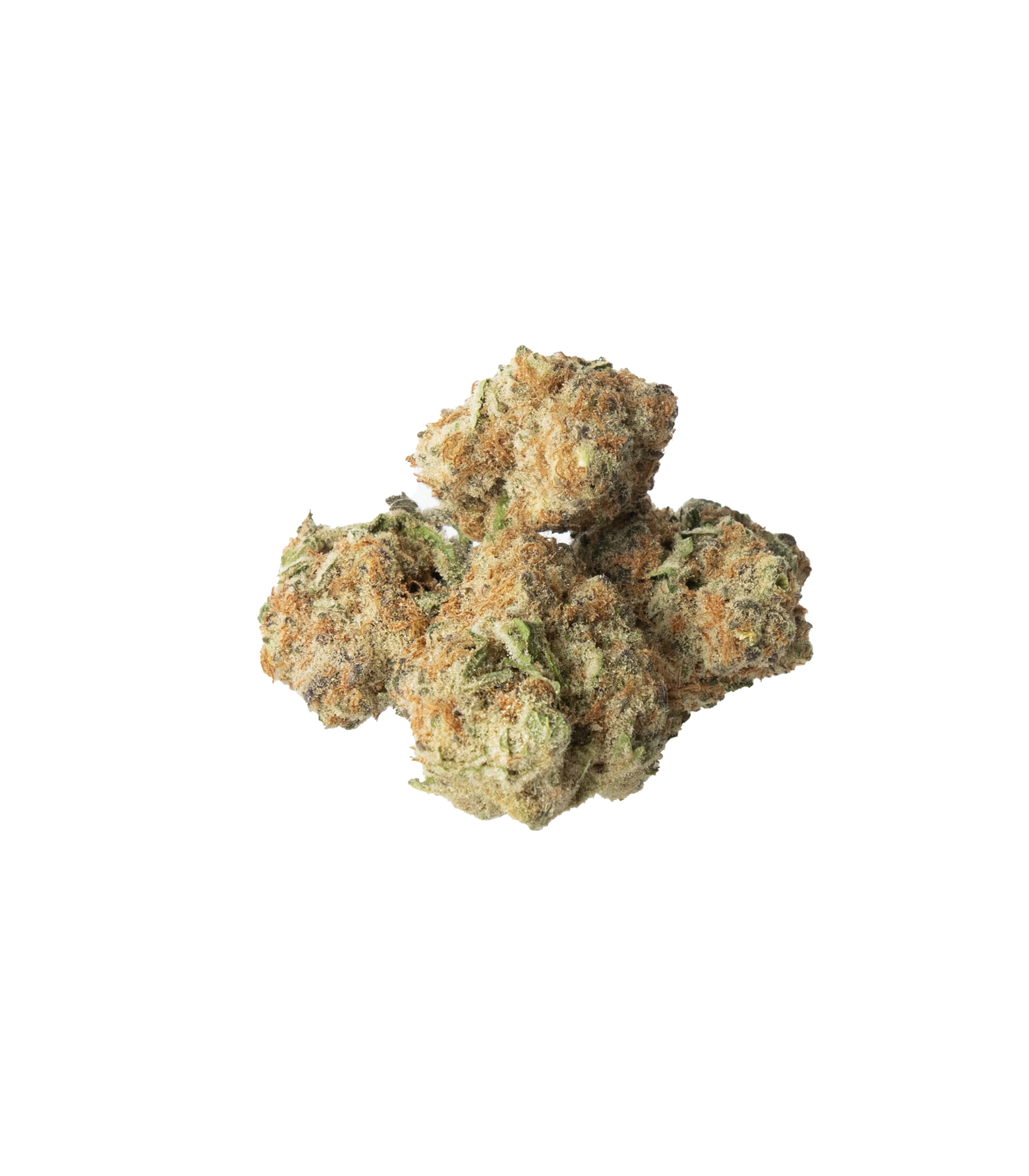 Knack Funk Bomb Flower