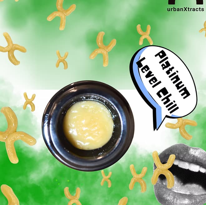 URBANXTRACTS Platinum Kush Breath | Cold Cure Live Rosin | 1g