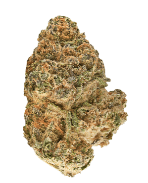 Redecan Redecan Animal Rntz