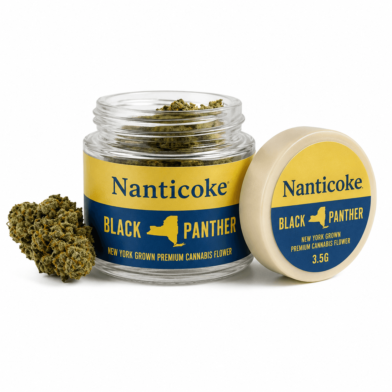 Nanticoke Black Panther