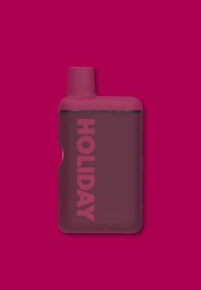 Holiday Float | Disposable