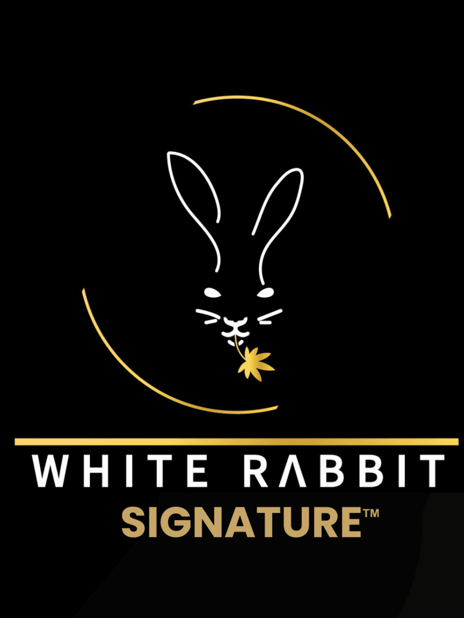 White Rabbit
