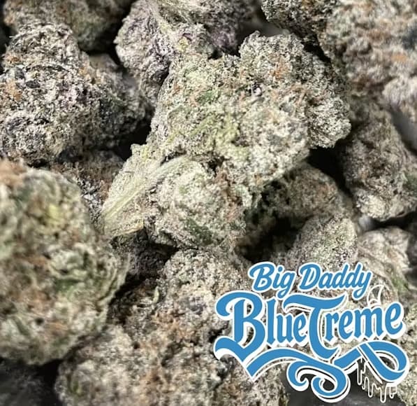 J Cannabis BIG DADDY BLUE - 3.5G