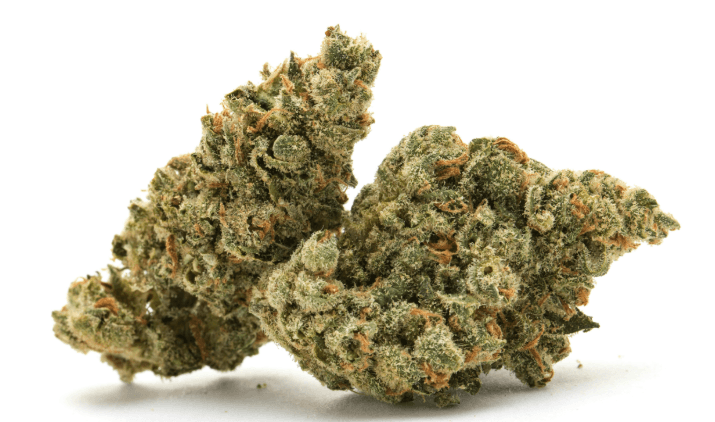 Canna-Boss