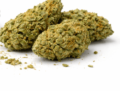 Canna-Boss