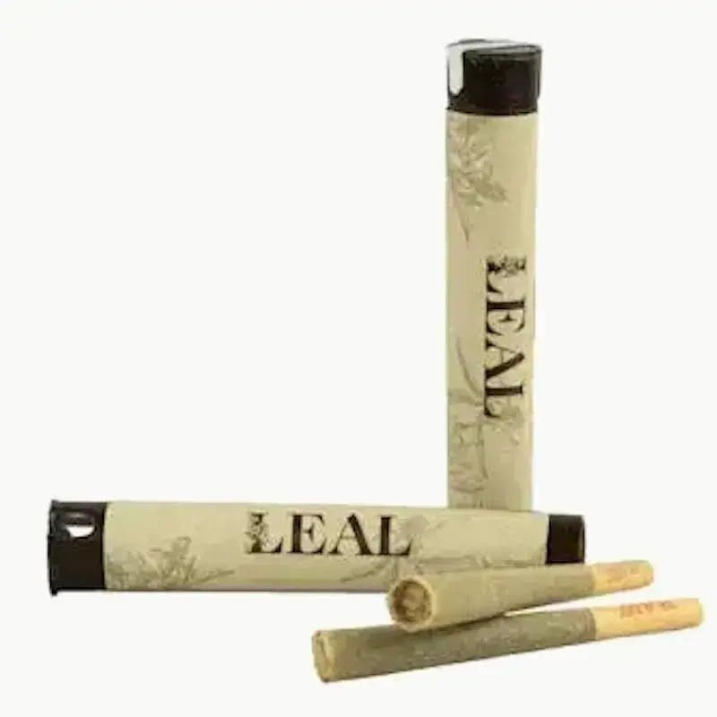 Leal Hella Jelly | Pre-Roll | 1G