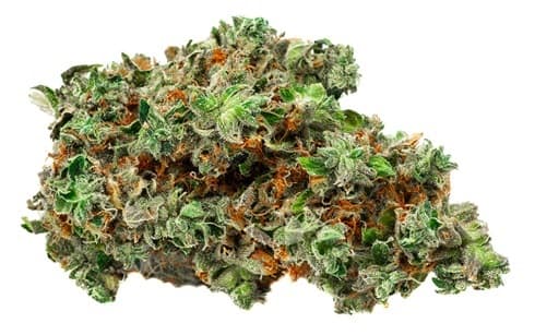Bold Team BOLD Growth - Root Beer Float - Indica