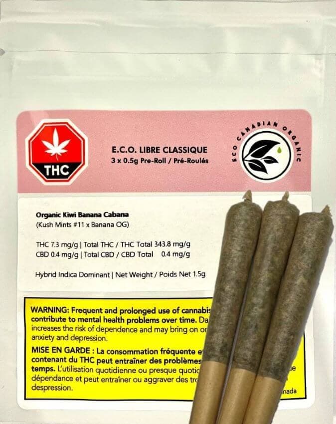 ECO Libre Classique - Organic Kiwi Banana Pre-Rolls - 3x0.5g